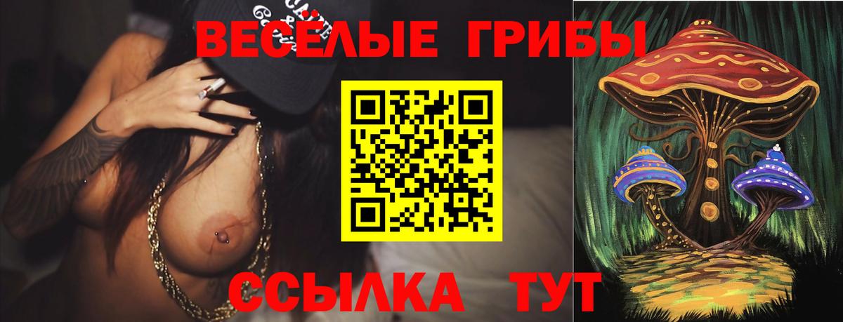 Галлюциногенные грибы Cubensis Кирово-Чепецк